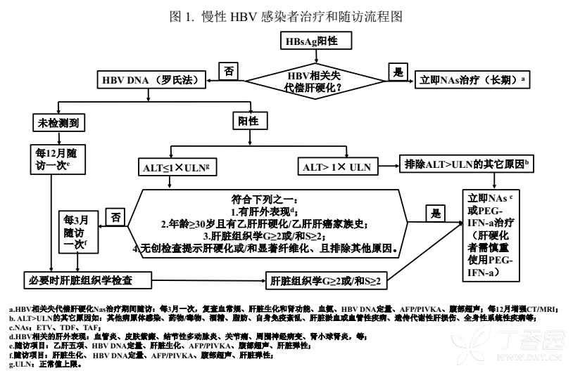 2019年版慢乙肝指南即將發布，抗病毒適應癥放寬啦！